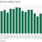 US database designed to ‘level playing field’ for cattle producers