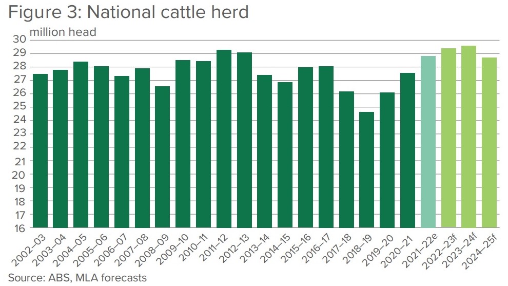 Questions raised over MLA’s 28.8 million head herd size assessment