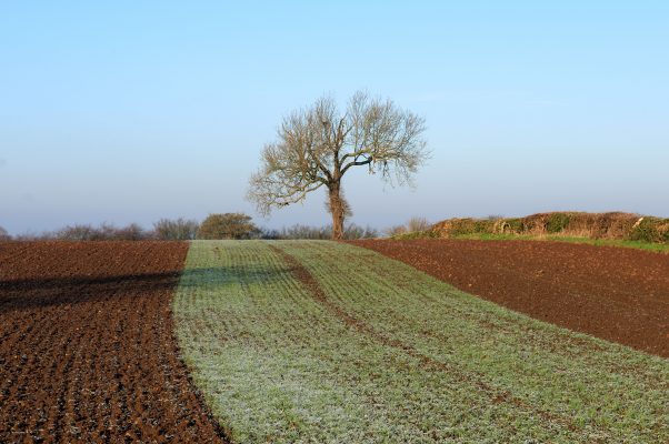 Laxton, Nottinghamshire: The 21st century village still using a medieval farming system