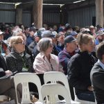 Top flocks for ewe championship