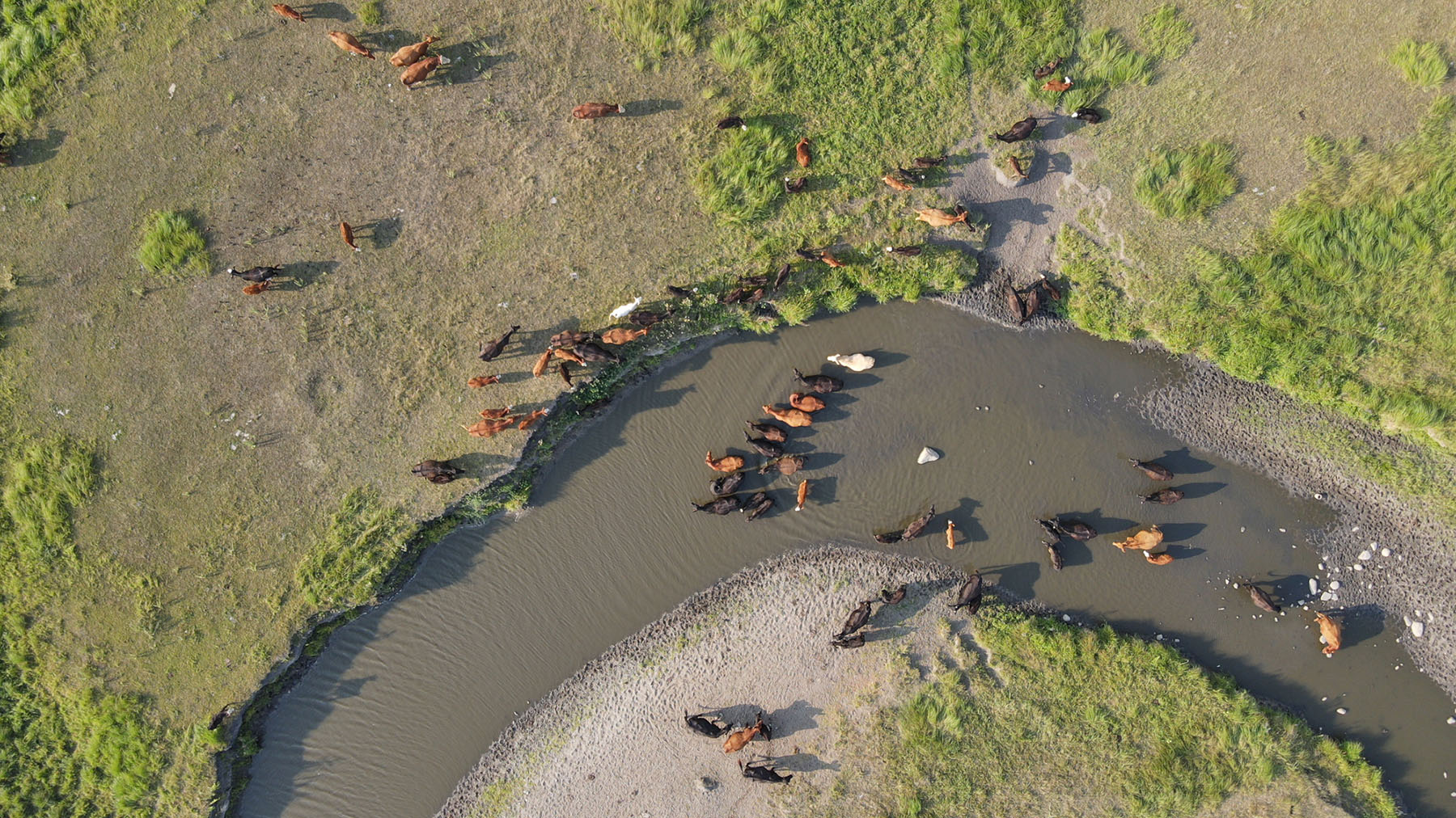 Oklahoma forage and water supplies limited this winter