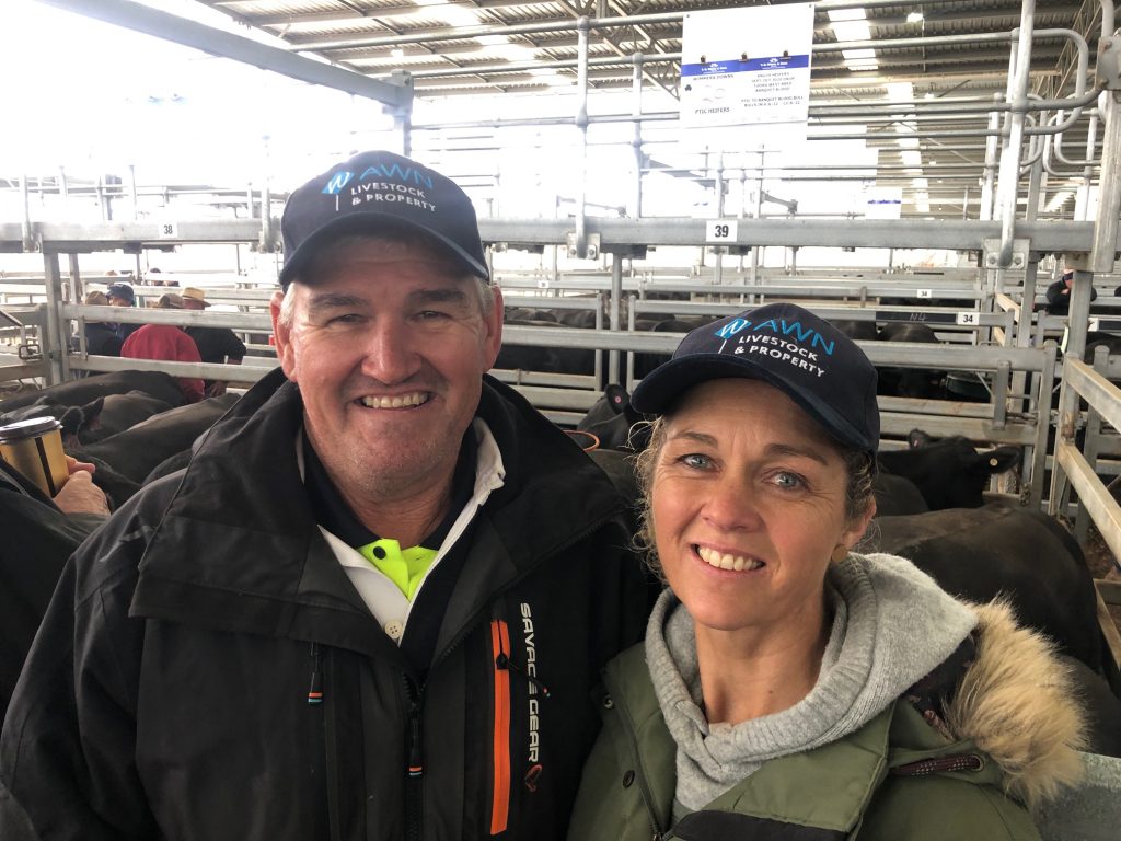 Ballarat’s annual joined and calved female cattle sale tops expectations