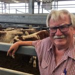 Cattle numbers on feed notch up five years above one million head