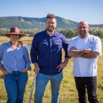 Quality Wandoan steers fire at Dalby sale