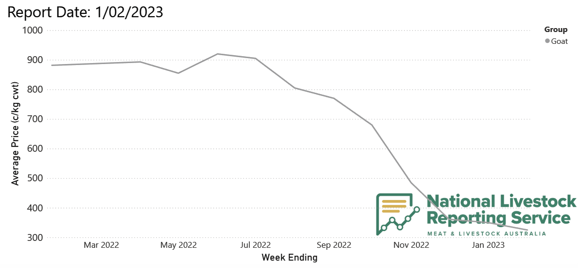 Large goat processing numbers expected, as price drops