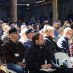 Lockyer grower turns to cotton