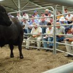 Katter's campaign for donor list gets ministerial support