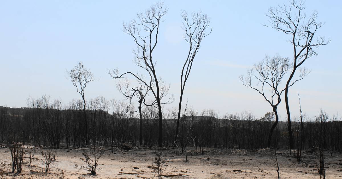 Rural fierys and QFS battle blaze on Western Downs for almost 40 days