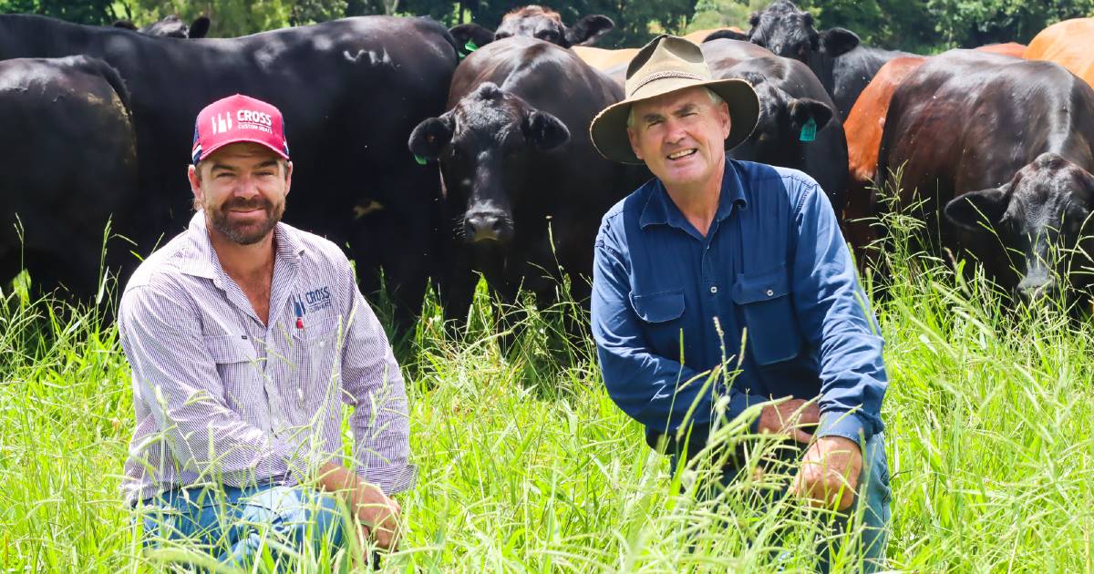 New grassfed beef brand launched on Tablelands