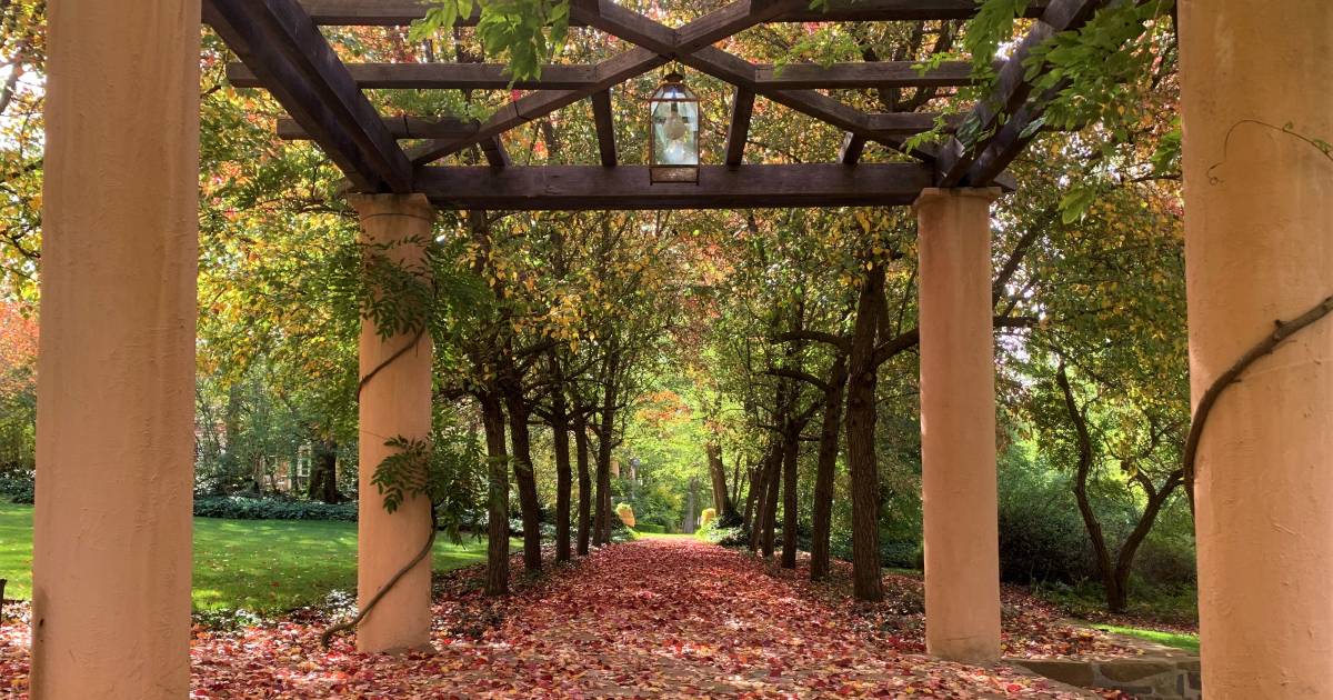 Stunning gardens on historic pastoral properties opened on the Monaro | The Land