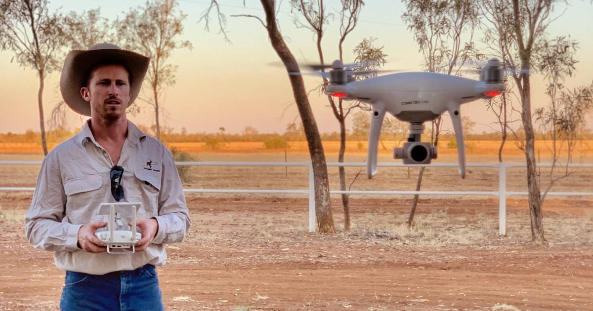 Drone mustering is taking flight in Queensland but regulations need reviewing | Queensland Country Life