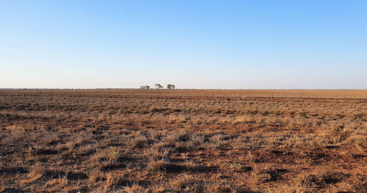 Shires declared drought free for first time in a decade