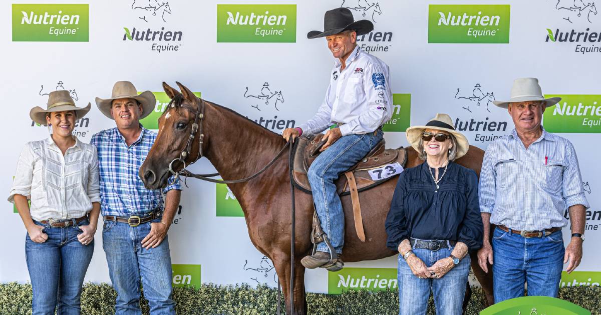 Trio of horses crack $300,000 mark at Nutrien Classic Sale