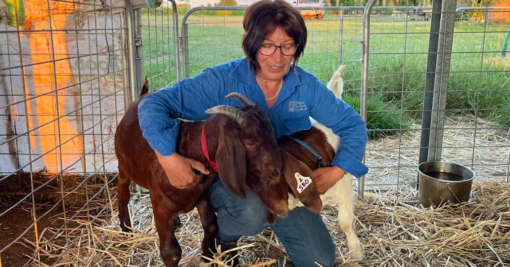 Emerald breeder loses 300 boer goats to deadly disease