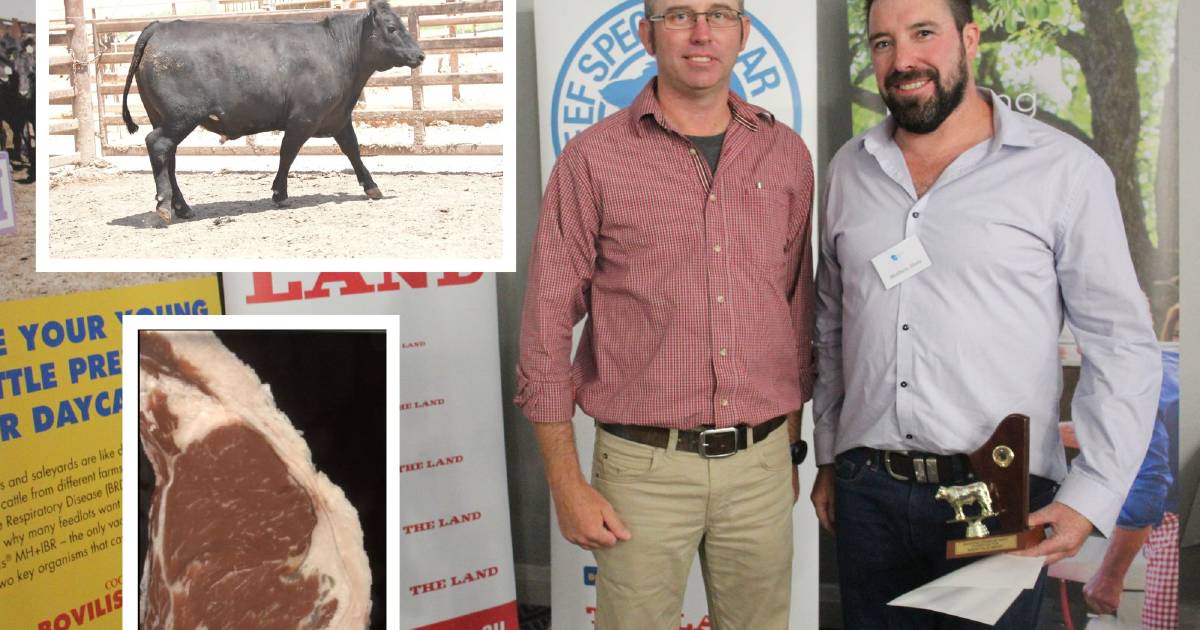 Barfold Beef takes the bronze | The Land