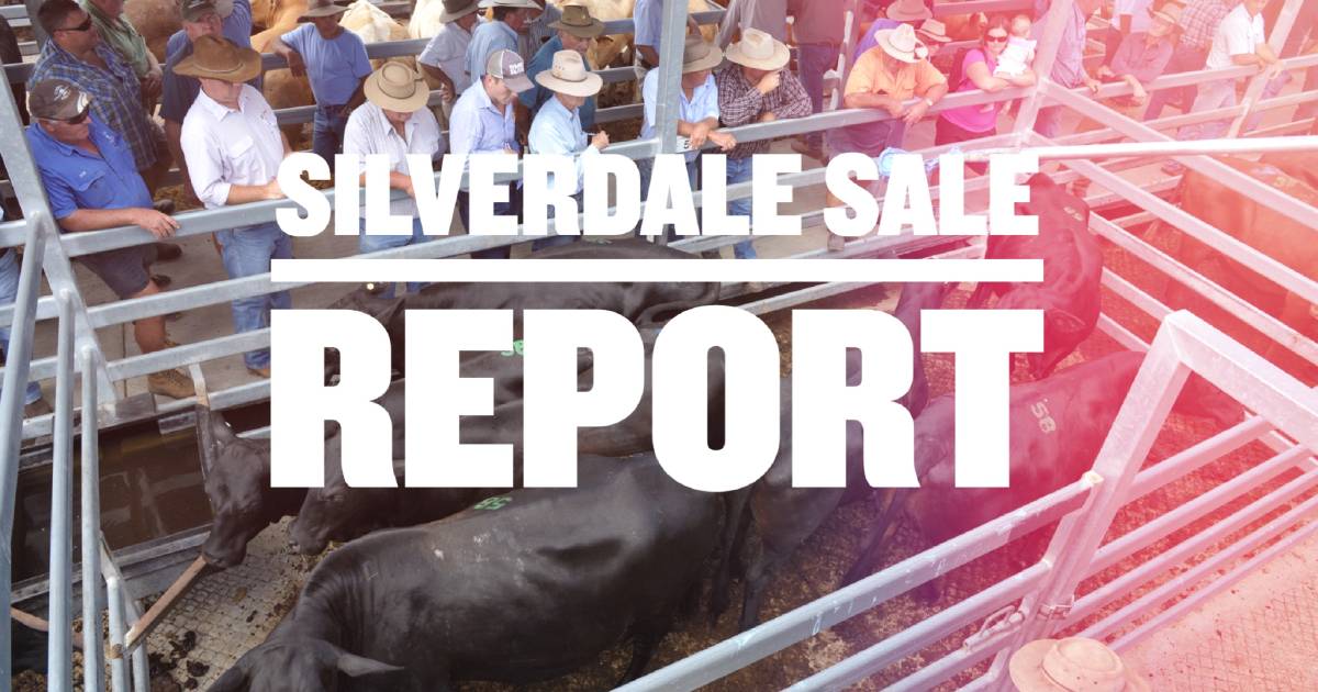 Prices remain firm at Silverdale sale | Queensland Country Life