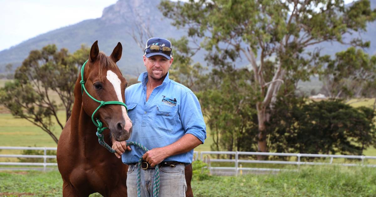 Nathan Wilson is taking horse training to new levels | Queensland Country Life