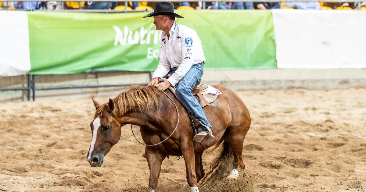 $1m in horses sold on Day 1 of Nutrien Classic