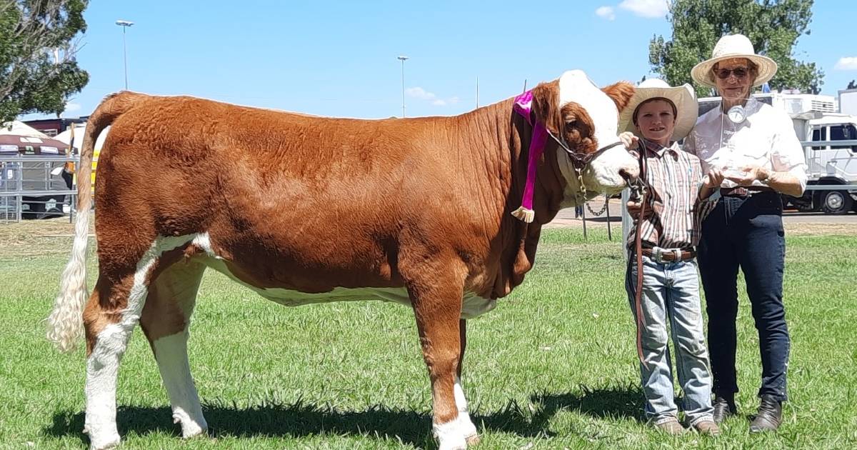 Lane is grand champion parader at Clifton