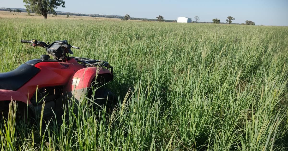 Tips for autumn pasture sowing success | The Land