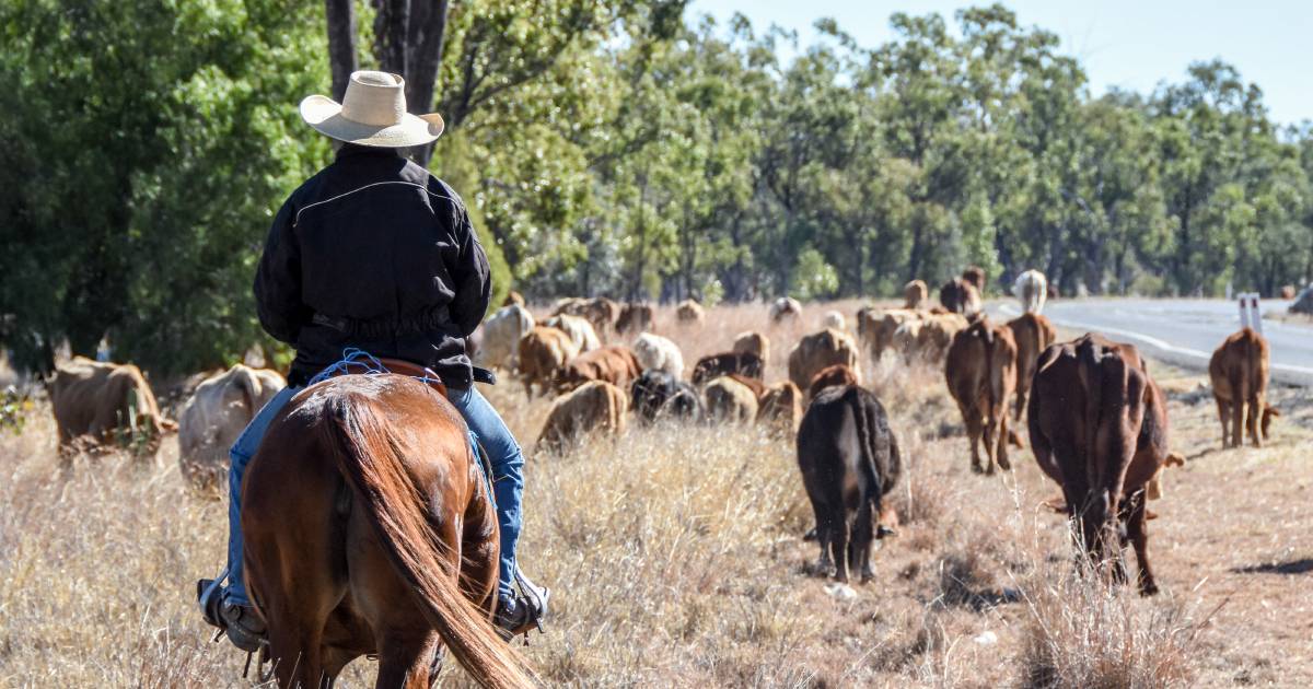 Stock route legislation passed in parliament | Queensland Country Life