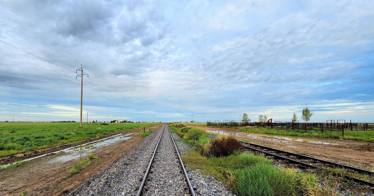 Feedlot planned for Maxwelton rail siding after upgrade complete | North Queensland Register