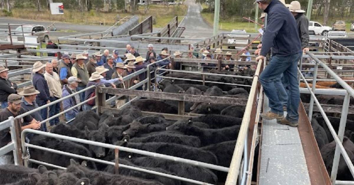 Gloucester store sales mixed yarding