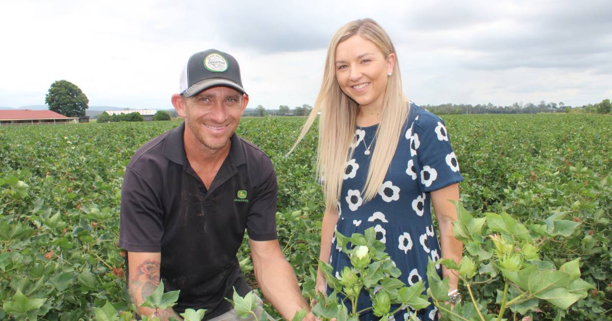 Lockyer grower turns to cotton