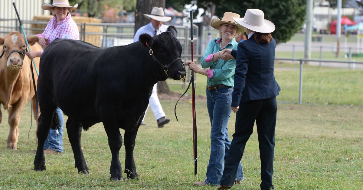 MEGA GALLERY: All the faces of the school paraders and steers