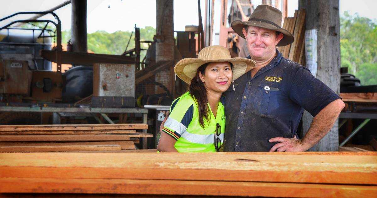 Timber harvesters chipping away as demand set to continue | Queensland Country Life