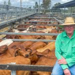 Pasture, livestock focus for carefully managed Rewa