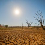 Akubra Downs complete with its own private airfield | Queensland Country Life