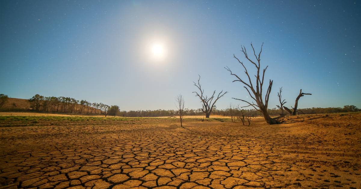 Key to surviving the drought a 'no-brainer'