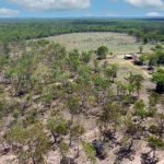 Farmers on alert as guava root-knot nematode takes hold in Queensland