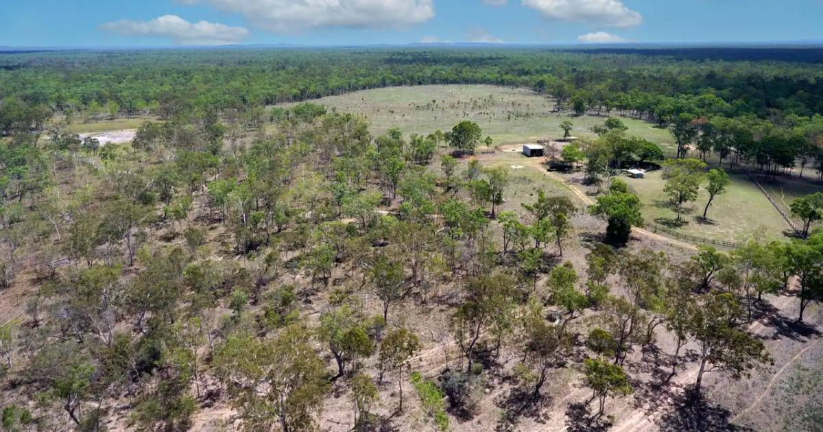 Cattle breeding country listed for $5000/breeder area | Video