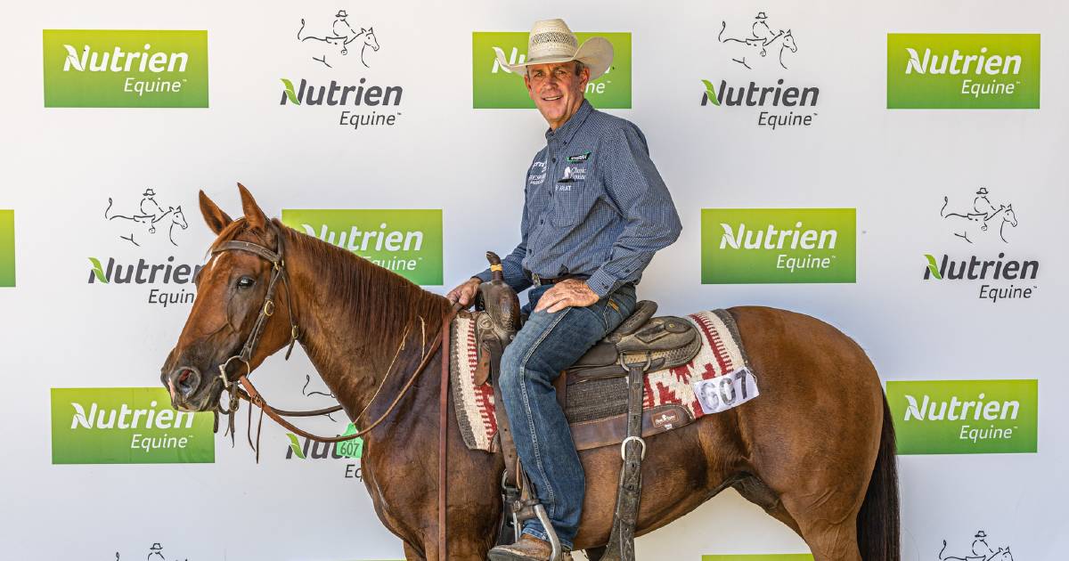 2023 Nutrien Classic Sale grosses $17 million after high average on final day | The Land