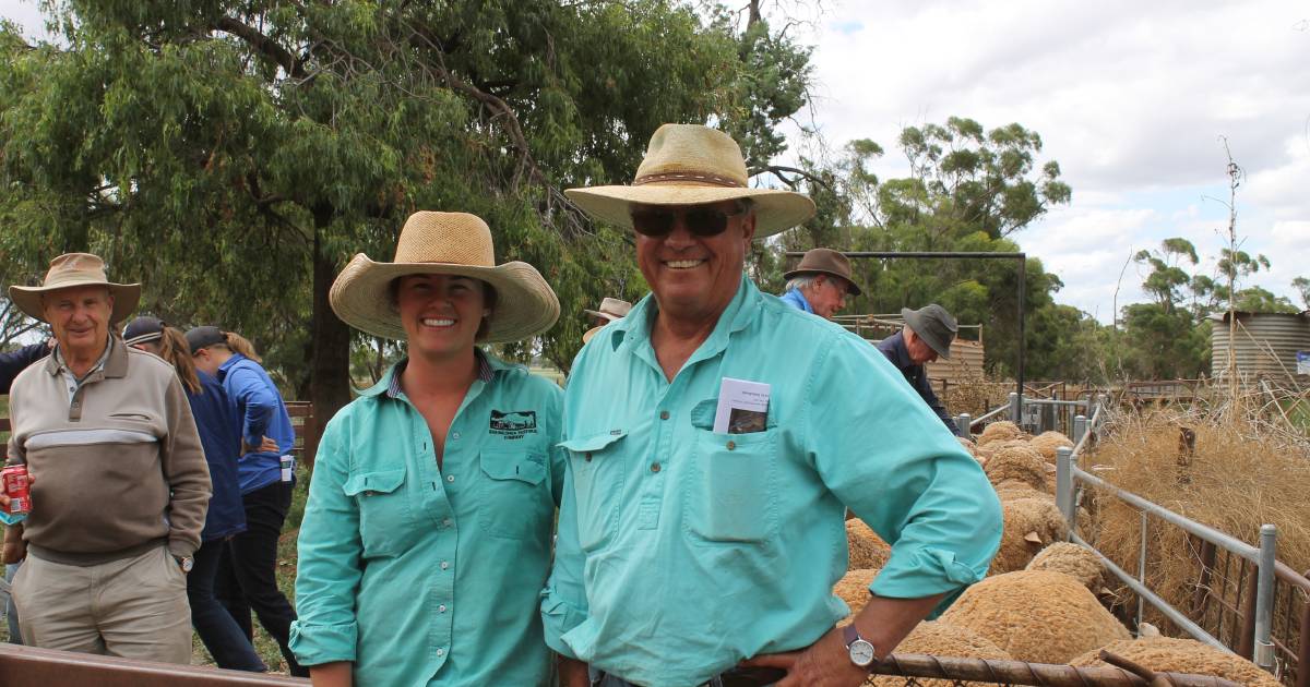 Northey claims top award in Lake Cargelligo Merino competition