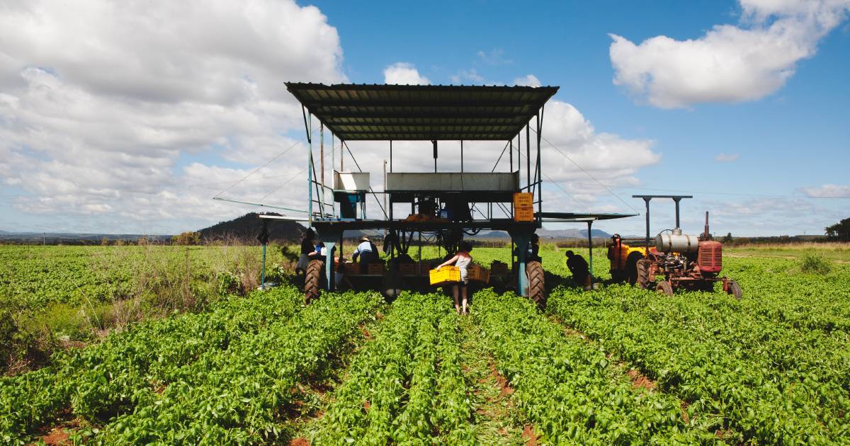 Review follows huge farm land rate increases for FNQ council