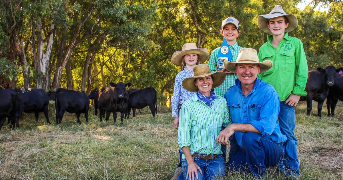 Beef Spectacular Feedback Trial 2023: Podium finish for first-timers, the McCrohons