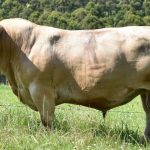 Central Queensland Smart Cropping Centre