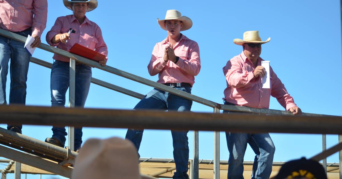 Steers in hot demand at Roma, reaching peaks of $1890