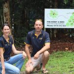 Droughtmaster cows with calves reach $2350 a unit at Beaudesert