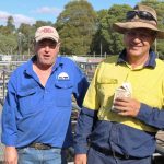 Aussie White rams to four states