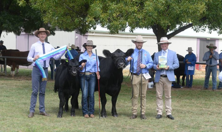Canberra Royal 2023 Simmental results Australian Country Life