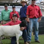 Canberra Royal 2023: Red Angus results