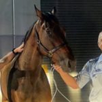 Biloela farmer and former chairman of the Central Queensland Sorghum Marketing Board, John Teakle OAM, dies aged 93 | Queensland Country Life