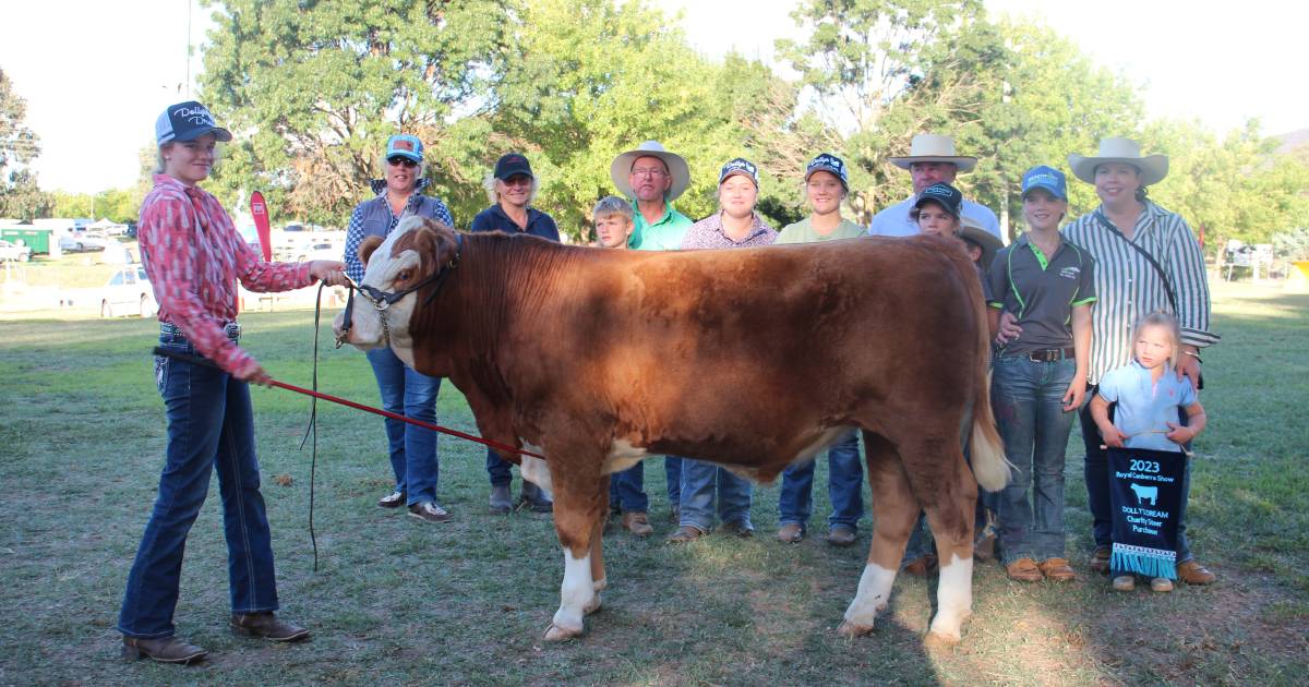 Fleckvieh steer raises $3000 for Dolly's Dream