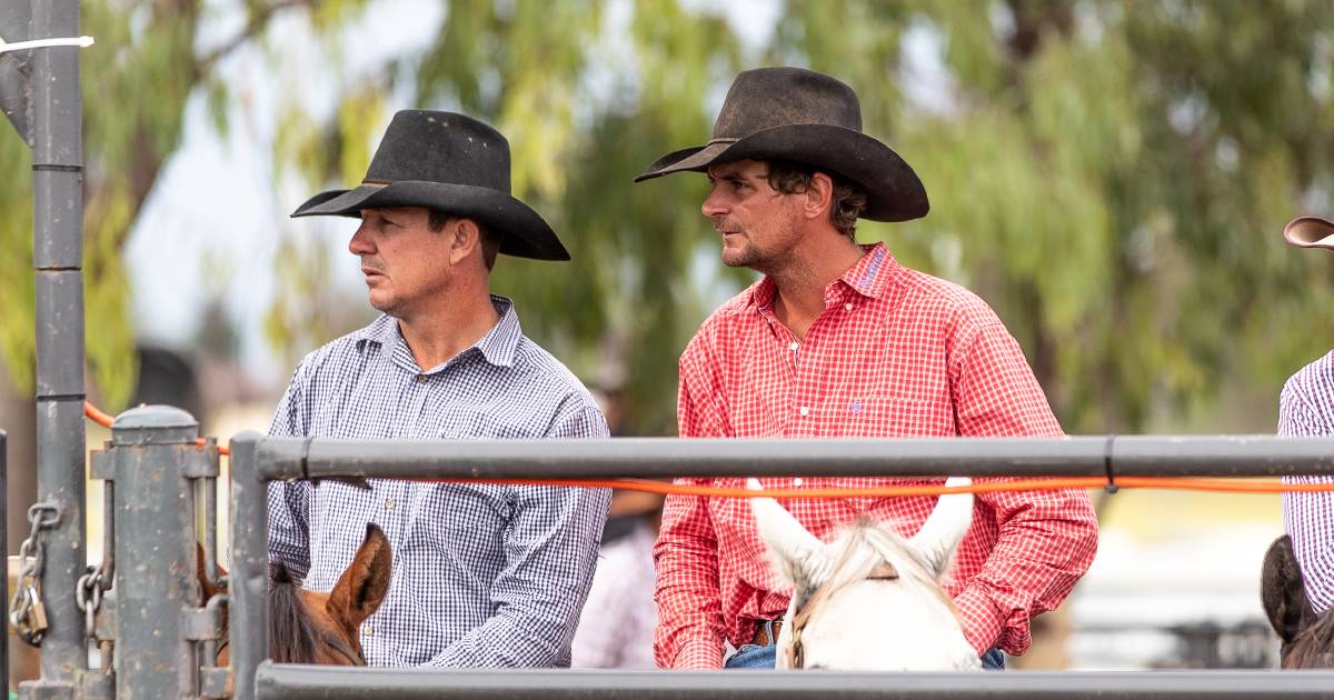 Nutrien campdraft events wrap up with Queenslanders among winners | Queensland Country Life