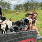 Northern Victorian studs welcome visitors on day six of Stock & Land Beef Week