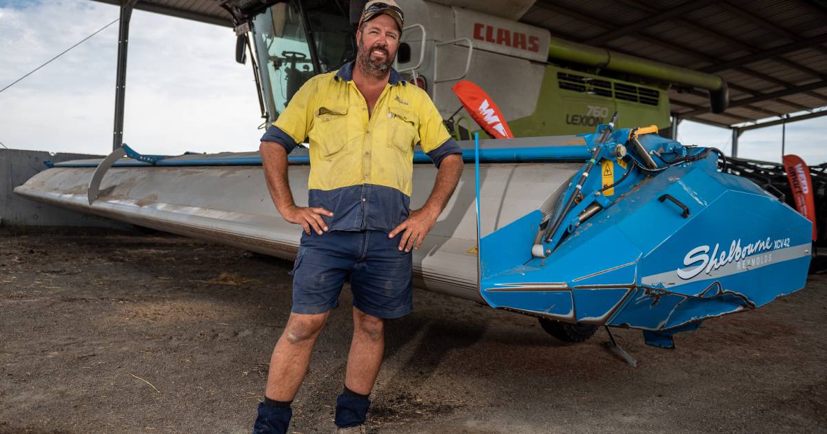 'I thought the header was lying to me': Barley wows at Bongeen